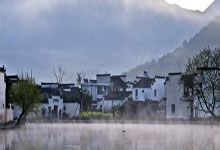 上海后花园美景，城市绿洲的宁静角落