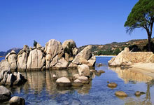 上海后花园美景，城市绿洲的宁静角落
